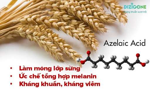 Kem Trị Mụn Derma Forte - Ưu Nhược Điểm & Cách dùng #2022