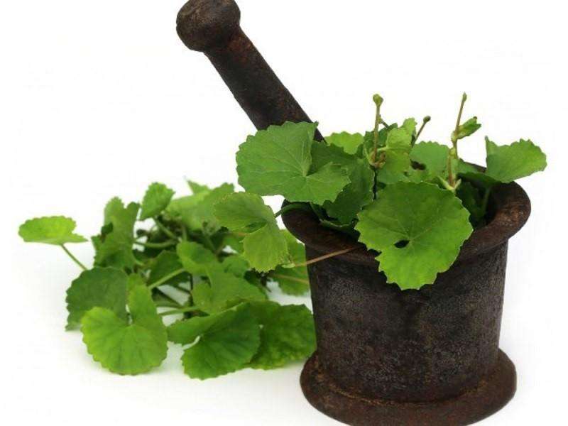 Top 3 cách Tắm Trắng Thảo Dược & Nguyên liệu tự nhiên [2022]