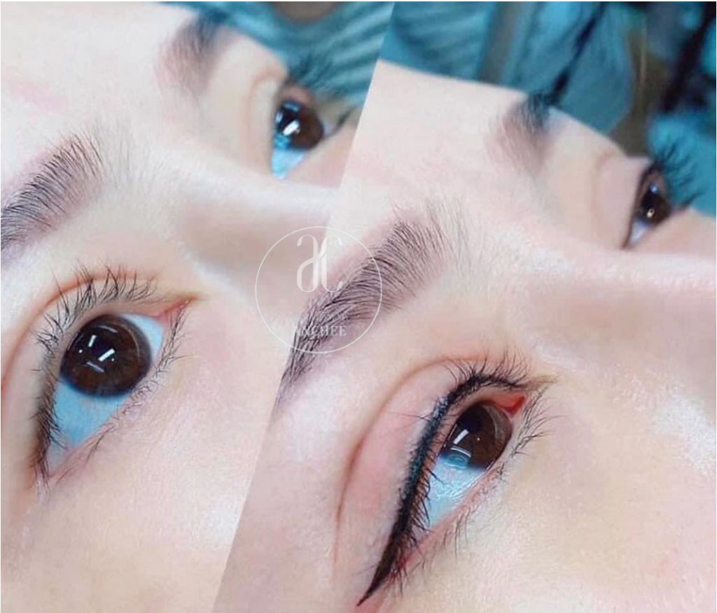 Phun mí mở tròng đá đuôi giá bao nhiêu : To Tròn - Cuốn Hút