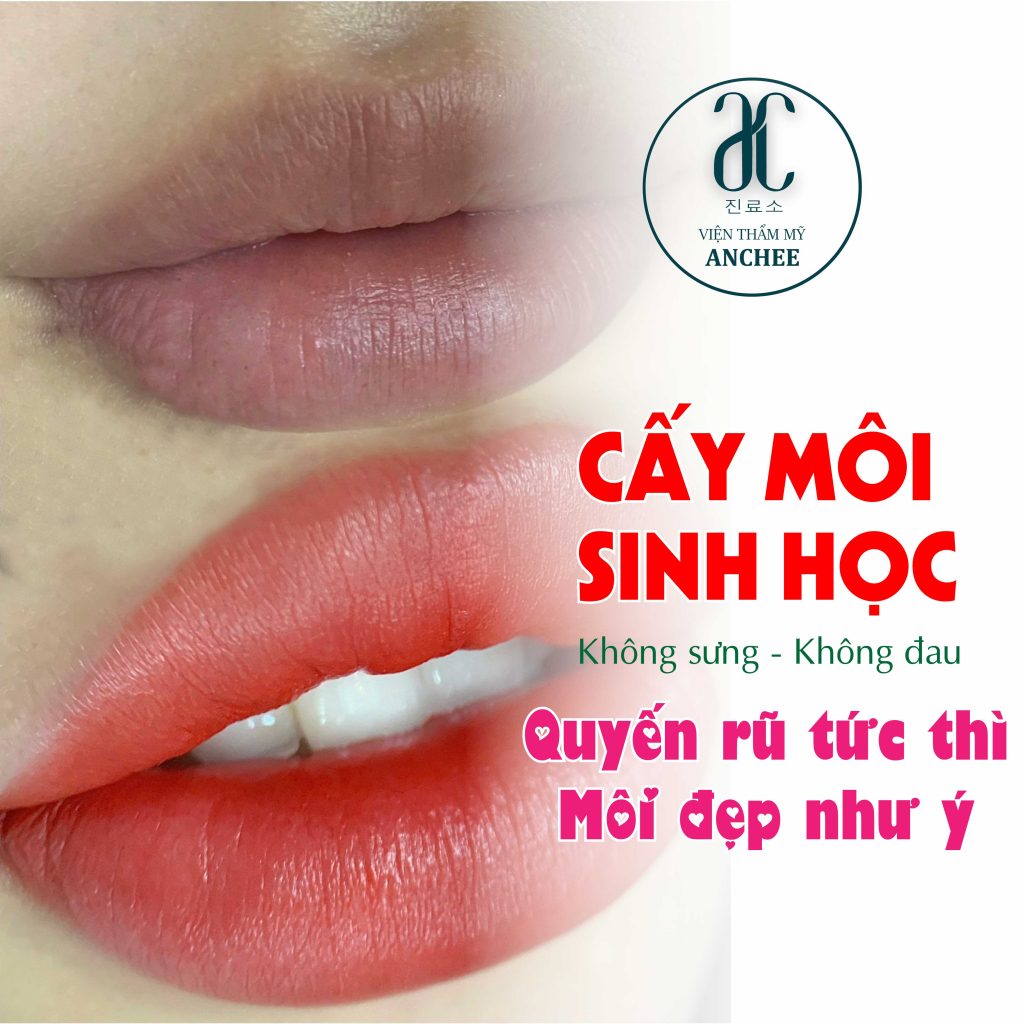 Review 11 Kỹ Thuật Phun Môi Công Nghệ Mới Nhất Hiện Nay