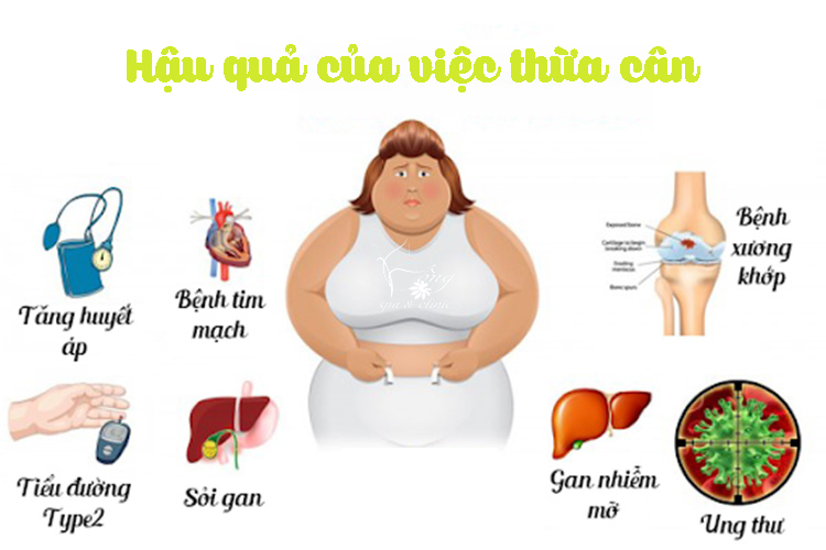 16 Chế độ ăn giảm mỡ bụng cho nam giới - Tút lại vẻ đẹp trai