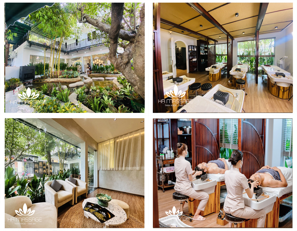 Gội Đầu Dưỡng Sinh Phú Nhuận Gần Đây