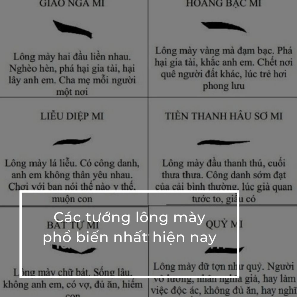 Xem 44+ Tướng Lông Mày Đàn Ông & Phụ Nữ Đoán Vận Mệnh