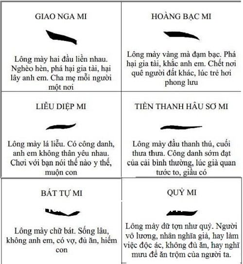 Xem 44+ Tướng Lông Mày Đàn Ông & Phụ Nữ Đoán Vận Mệnh