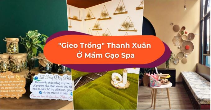 Review Mầm Gạo Spa HCM: Dịch Vụ, Chất Lượng, Bảng Giá ? 2023